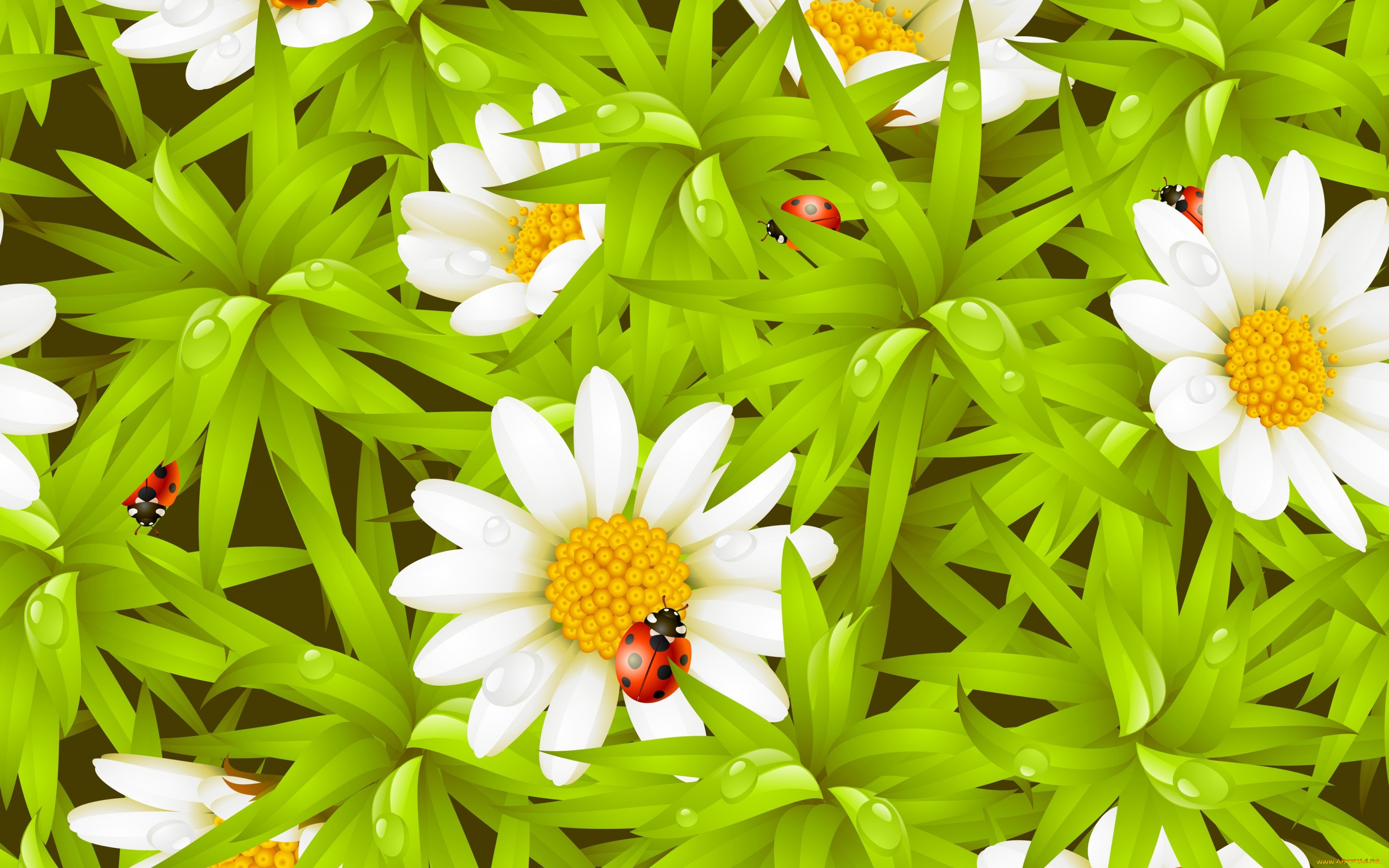  ,  , flowers, , , , , 